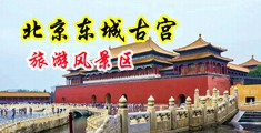 强奸黑丝尤物射逼视频中国北京-东城古宫旅游风景区